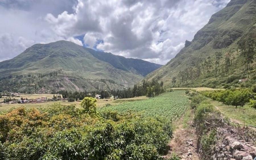 Foto Terreno en Venta en Pisac, Valle Sagrado de los Incas, Cusco - U$D 646.000 - TEV38914 - BienesOnLine