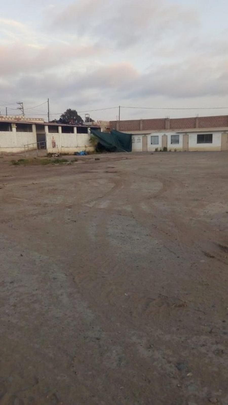 Foto Terreno en Alquiler en TACNA, Tacna, Tacna - TEA29243 - BienesOnLine
