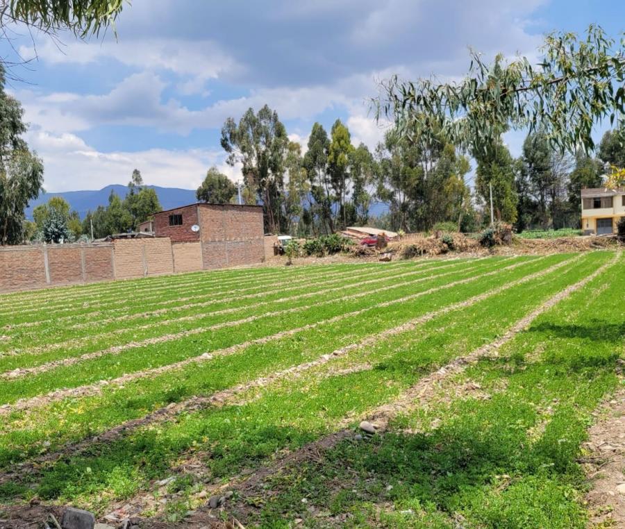 Foto Terreno en Venta en cajas, San Agustin, Huancayo - S/. 812.000 - TEV37703 - BienesOnLine