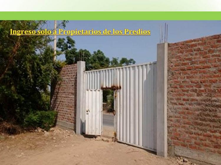 Foto Terreno en Venta en huaral, Huaral, Huaral - 2 hectareas - U$D 85.000 - TEV24521 - BienesOnLine