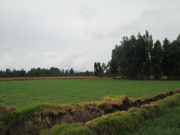 Foto Agricola en Venta en matahuasi, Matahuasi, Concepcion - 1 hectareas - AGV14402 - BienesOnLine