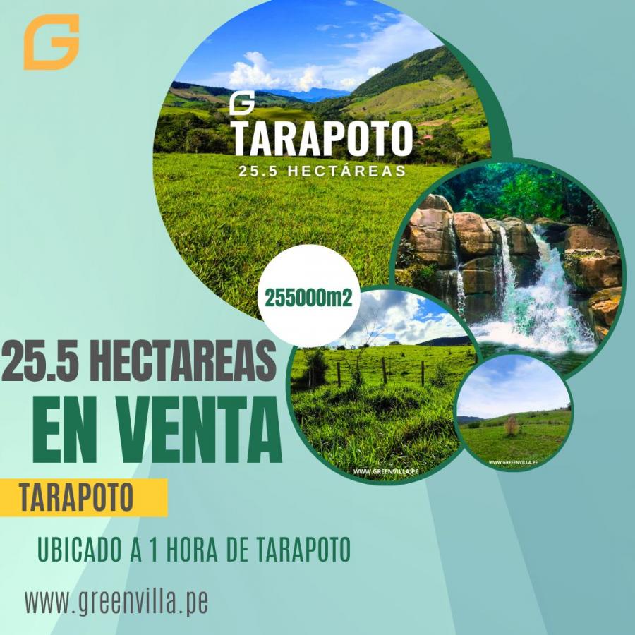 Foto Terreno en Venta en Tarapoto, Tarapoto, San Martin - S/. 230.000 - TEV39042 - BienesOnLine