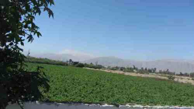 Foto Terreno en Venta en NAZCA, Nazca, Nazca - U$D 1.980.000 - TEV16055 - BienesOnLine