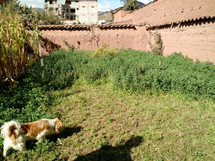 Foto Terreno en Venta en SAN SEBASTIAN, San Sebastian, Cusco - U$D 140.000 - TEV18671 - BienesOnLine