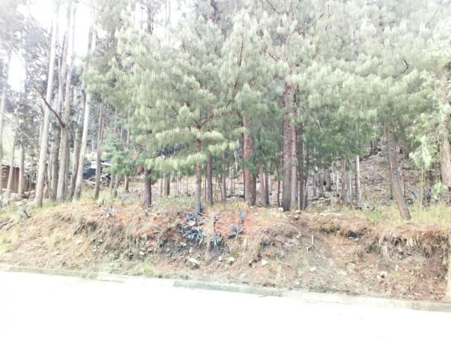 Foto Terreno en Venta en BAOS DEL INCA, Cajamarca, Cajamarca - 2630 hectareas - U$D 150 - TEV35069 - BienesOnLine