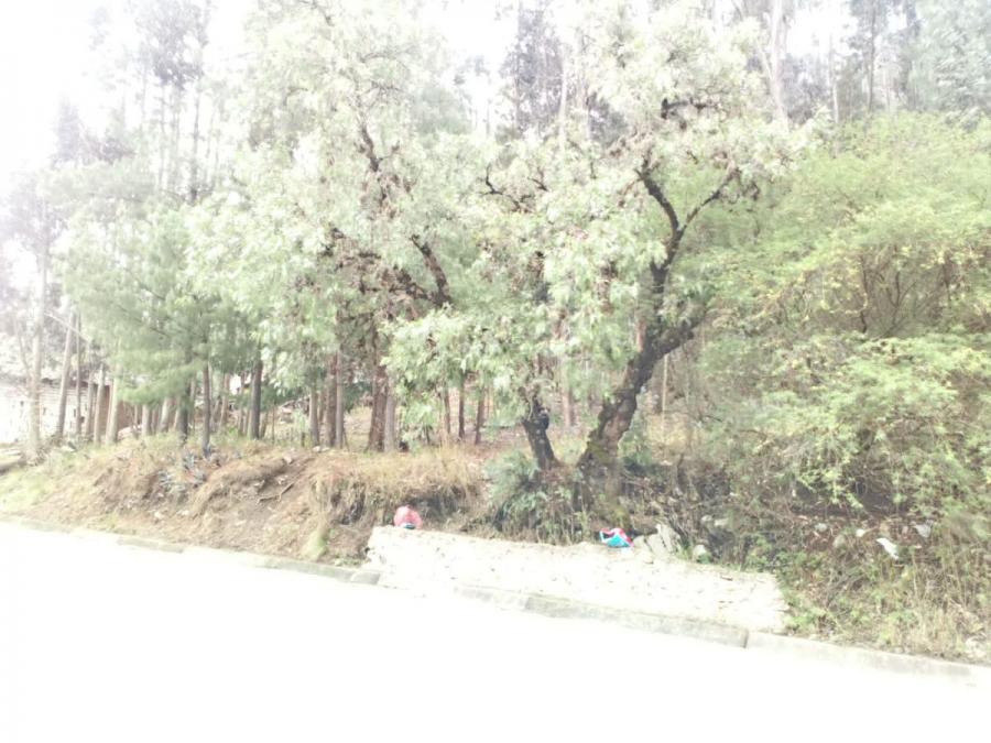 Foto Terreno en Venta en BAOS DEL INCA, Cajamarca, Cajamarca - 2630 hectareas - U$D 150 - TEV35070 - BienesOnLine