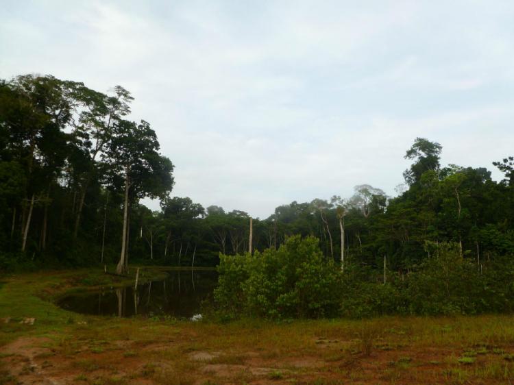 Foto Terreno en Venta en San Juan Bautista, Iquitos, Maynas - 750 hectareas - U$D 600.000 - TEV16356 - BienesOnLine