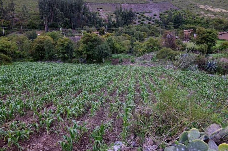 Foto Terreno en Venta en Urubamba, Urubamba - U$D 448.000 - TEV37558 - BienesOnLine