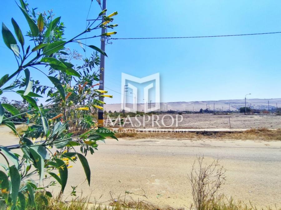 Foto Terreno en Venta en CORONEL GREGORIO ALBARRACIN, Tacna, Tacna - U$D 19.000 - TEV35971 - BienesOnLine