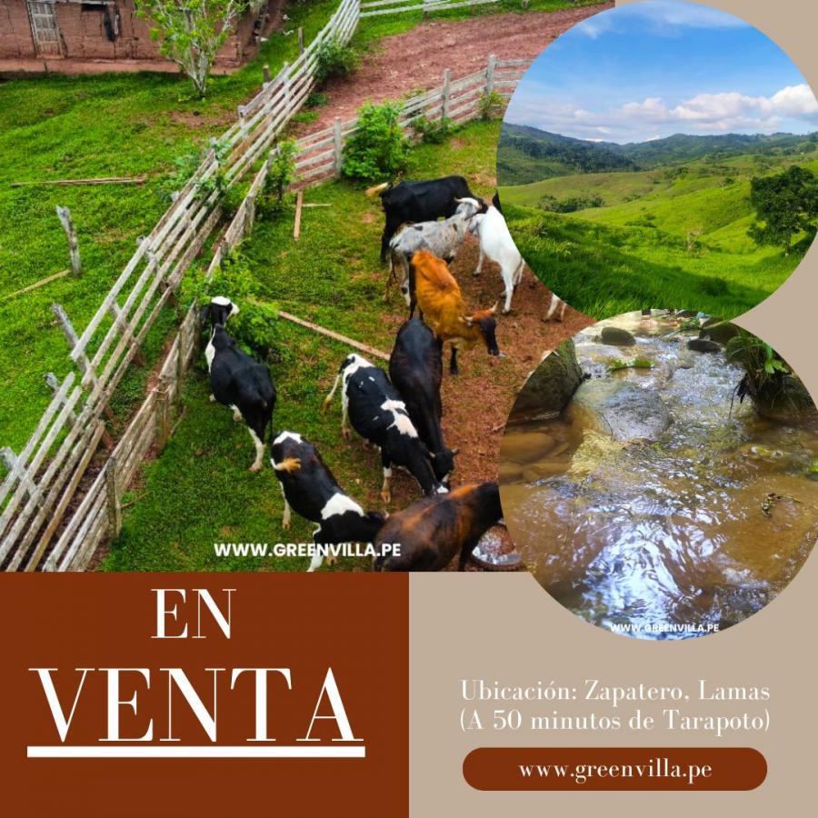 Foto Terreno en Venta en Tarapoto, San Martin - S/. 995.000 - TEV39076 - BienesOnLine