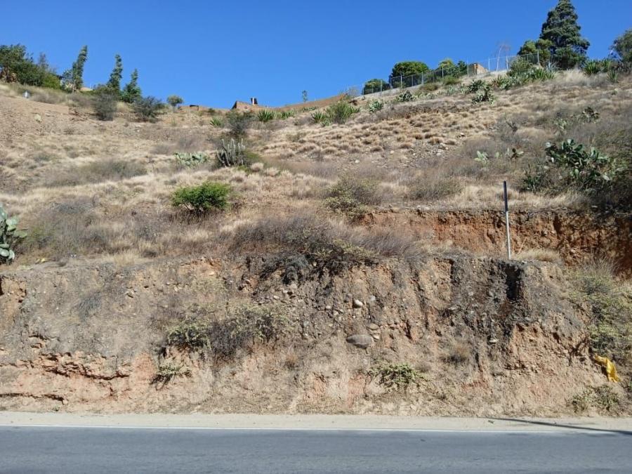 Foto Terreno en Venta en C. P. San Andrs, Amarilis, Huanuco - S/. 150.000 - TEV35623 - BienesOnLine