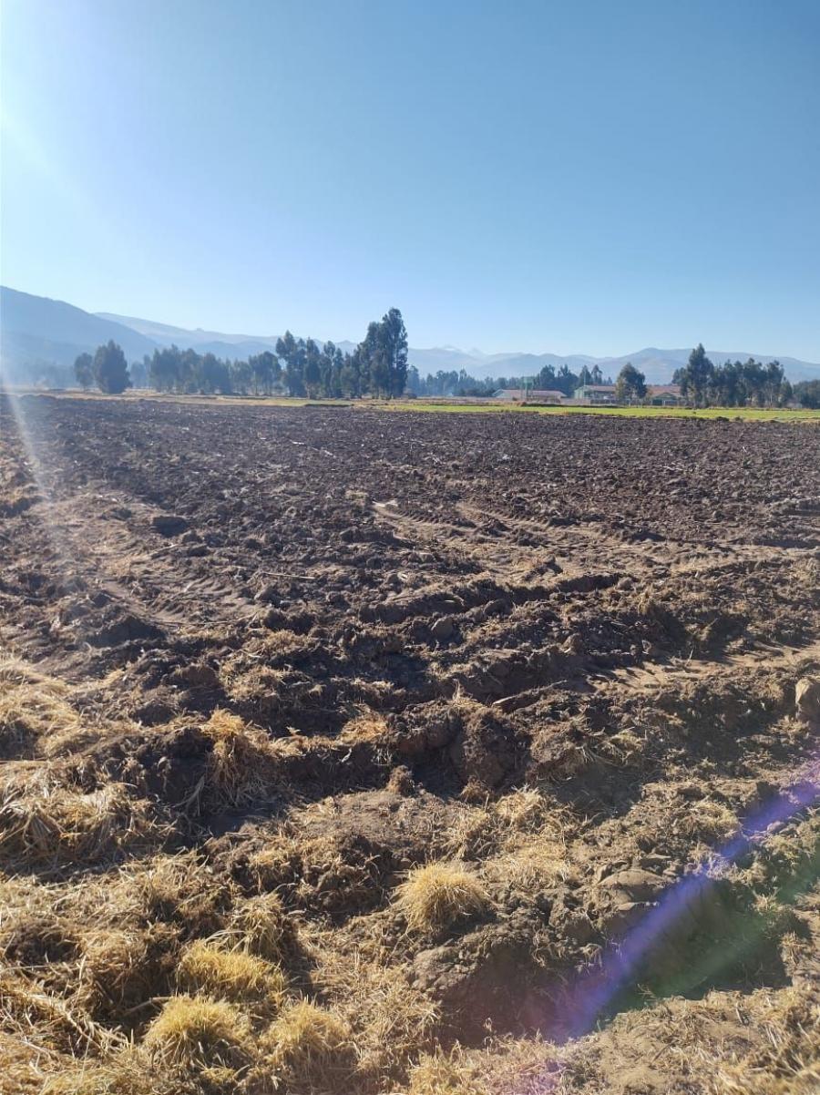 Foto Agricola en Venta en Matahuasi, Concepcion - 1 hectareas - S/. 250.000 - AGV34984 - BienesOnLine
