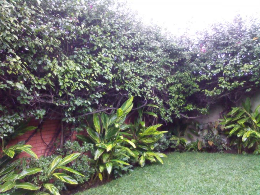 Foto Terreno en Venta en CIENEGUILLA, Cieneguilla, Lima - U$D 509.200 - TEV31111 - BienesOnLine