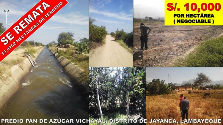 Foto Agricola en Venta en JAYANCA, Jayanca, Lambayeque - 54 hectareas - S/. 10.000 - AGV20062 - BienesOnLine