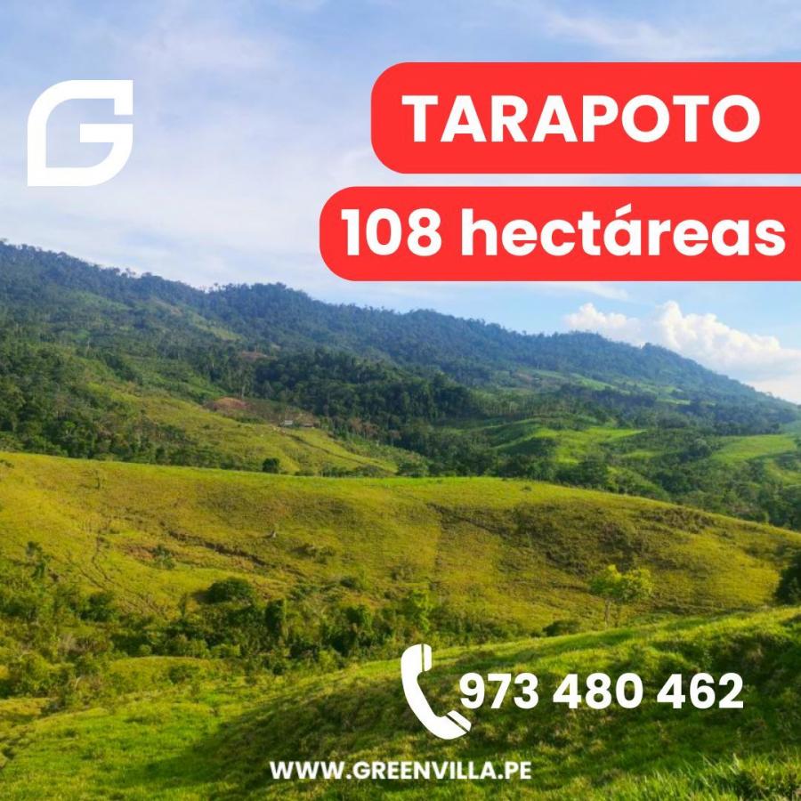 Foto Terreno en Venta en Tarapoto, San Martin - S/. 995.000 - TEV39025 - BienesOnLine