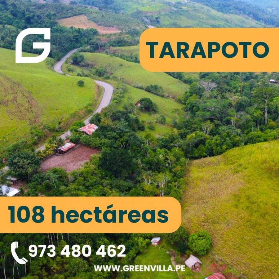 Foto Terreno en Venta en Tarapoto, San Martin - S/. 995.000 - TEV39026 - BienesOnLine