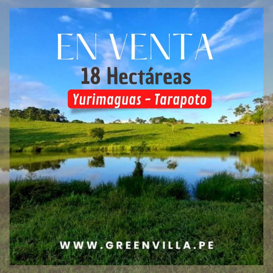 Foto Terreno en Venta en Jesus Maria, Lima - 18 hectareas - S/. 248.000 - TEV35885 - BienesOnLine