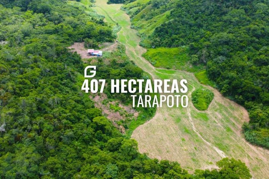 Foto Terreno en Venta en Tarapoto, San Martin - S/. 2.000.000 - TEV39084 - BienesOnLine