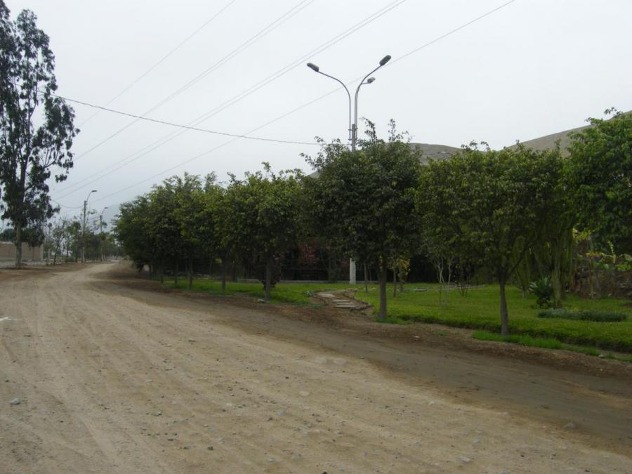 Foto Terreno en Venta en Cieneguilla, Urbanizacin Huertos de Cieneguilla, Lima - U$D 47.000 - TEV26656 - BienesOnLine