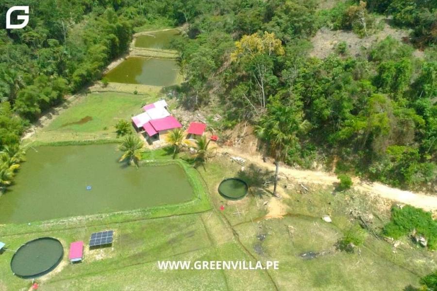 Foto Terreno en Venta en Sauce, San Martin - 3 hectareas - U$D 250.000 - TEV36480 - BienesOnLine