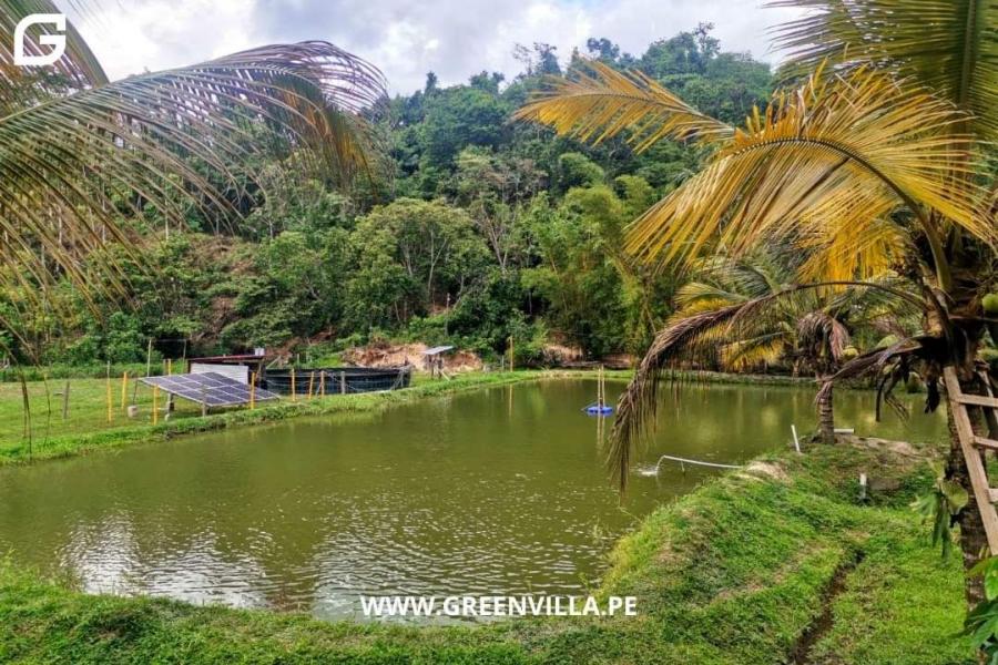 Foto Terreno en Venta en Tarapoto, San Martin - U$D 250.000 - TEV37021 - BienesOnLine