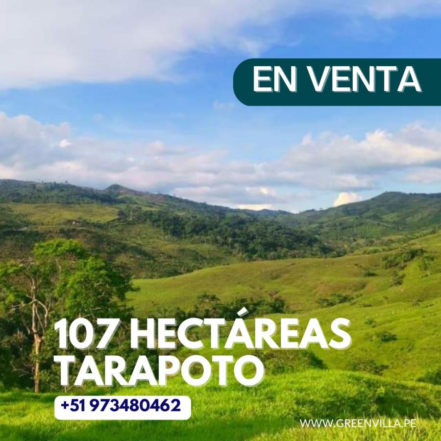 Foto Terreno en Venta en Tarapoto, San Martin - 107 hectareas - S/. 995.000 - TEV36482 - BienesOnLine