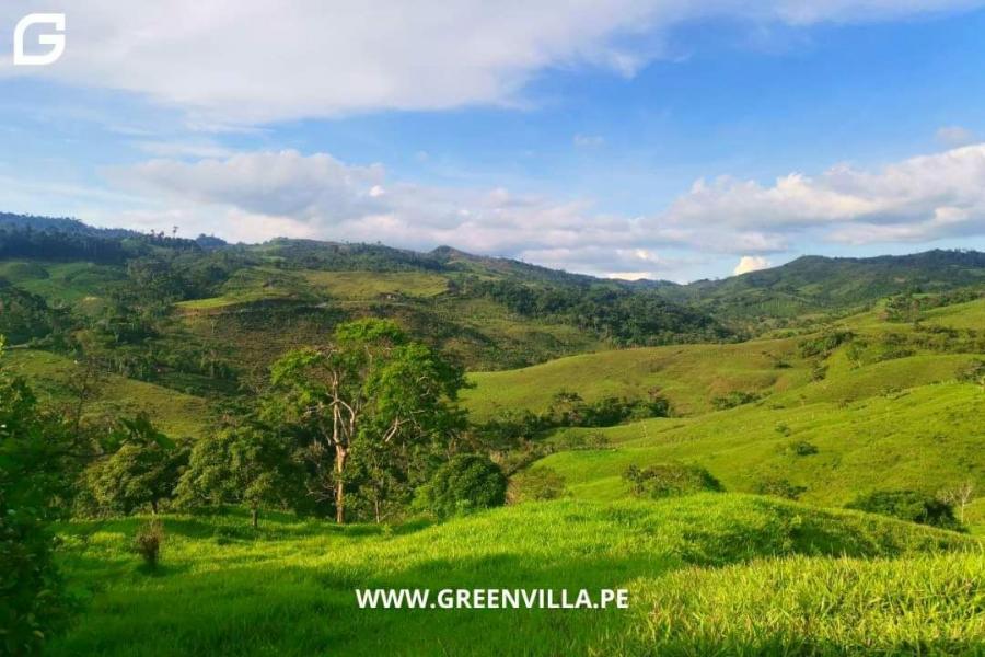 Foto Terreno en Venta en Tarapoto, San Martin - S/. 994.999 - TEV37023 - BienesOnLine