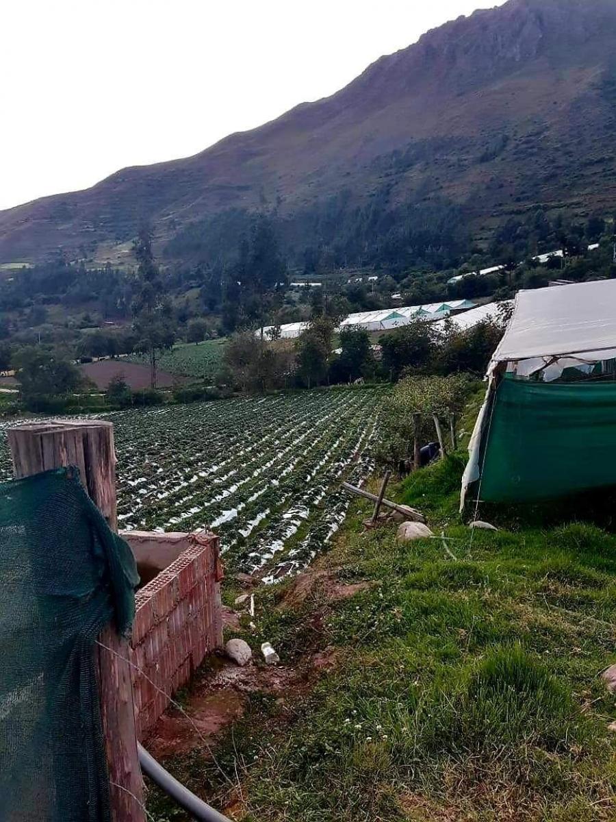 Foto Terreno en Venta en Cusco, Cusco - U$D 108.900 - TEV38066 - BienesOnLine