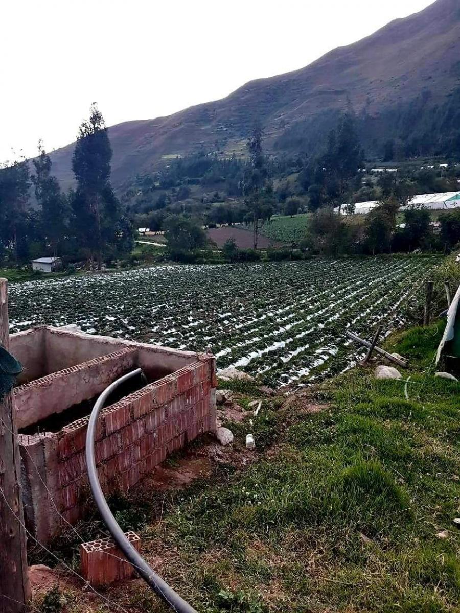 Foto Terreno en Venta en Cusco, Cusco - U$D 99 - TEV37599 - BienesOnLine