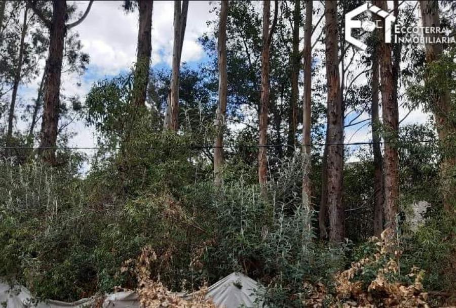 Foto Terreno en Venta en Urubamba, Urubamba - U$D 28.900 - TEV36544 - BienesOnLine