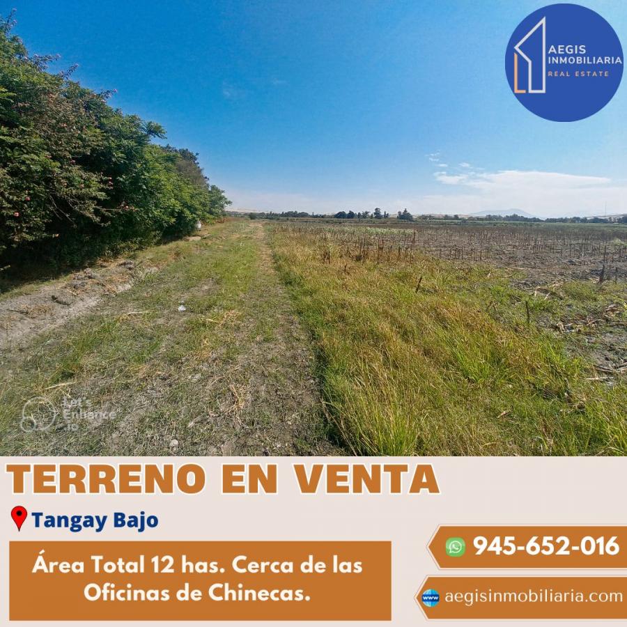 Foto Terreno en Venta en Tangay, Nuevo Chimbote, Santa - TEV38883 - BienesOnLine