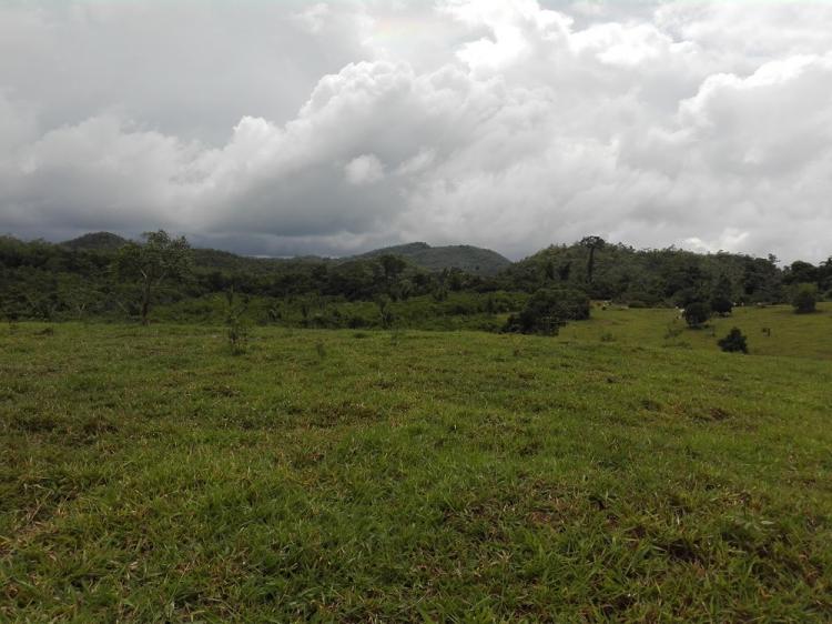 Foto Agricola en Venta en Sacanche, Huallaga - 20 hectareas - S/. 90.000 - AGV24306 - BienesOnLine