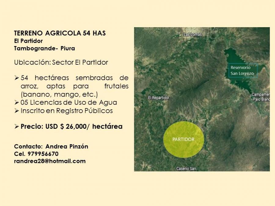 Foto Agricola en Venta en Tambogrande, EL PARTIDOR, Sullana - 54 hectareas - U$D 26.000 - AGV36550 - BienesOnLine