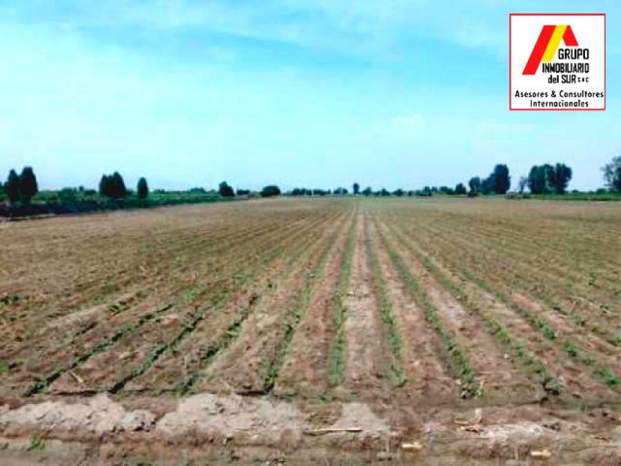 Foto Terreno en Venta en Independencia, Pisco - 8 hectareas - U$D 256.000 - TEV36650 - BienesOnLine