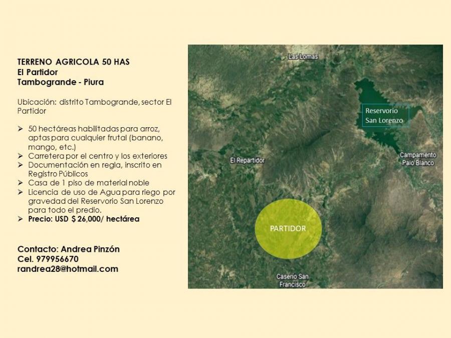 Foto Agricola en Venta en SULLANA, EL PARTIDOR, Sullana - 26 hectareas - U$D 26.000 - AGV35417 - BienesOnLine