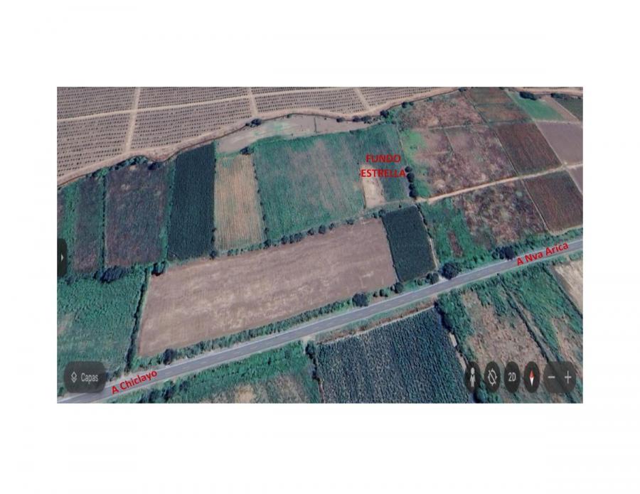 Foto Agricola en Venta en Nueva Arica, Chiclayo, Lambayeque - U$D 21.000 - AGV38678 - BienesOnLine