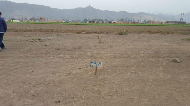 Foto Terreno en Venta en CARABAYLLO, Carabayllo, Lima - U$D 35.000 - TEV19664 - BienesOnLine