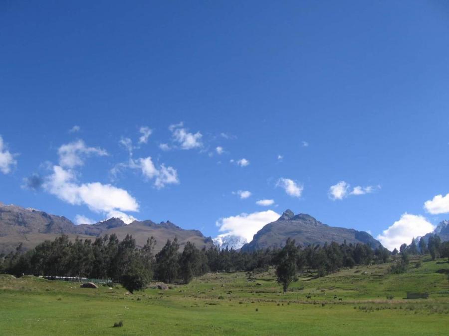 Foto Terreno en Venta en Cachipampa, Huaraz, Huaraz - S/. 200 - TEV37297 - BienesOnLine