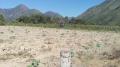 Terreno en Venta en Chontabamba Chontabamba