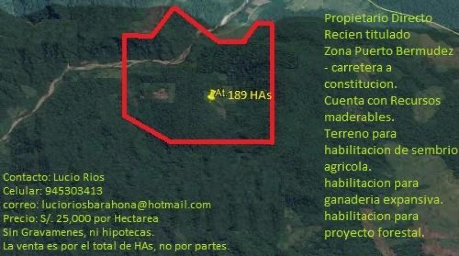 Foto Terreno en Venta en SANTA ISABEL DE PELMAZ, PUERTO BERMUDEZ, Oxapampa - 189 hectareas - S/. 4.725.000 - TEV35114 - BienesOnLine