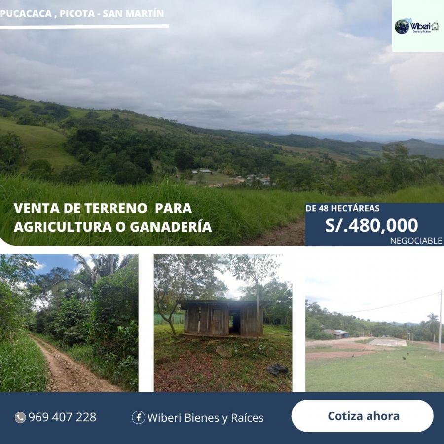 Foto Terreno en Venta en Pucacaca, Departamento de San Martin, Picota - S/. 480 - TEV37036 - BienesOnLine