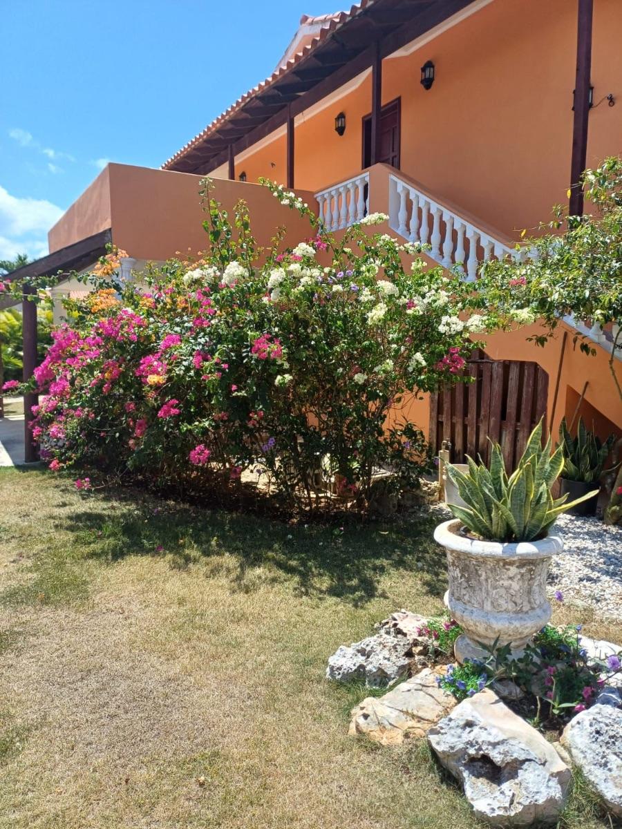 Foto Casa en Alojamiento en Dominicus, Bayahibe, La Altagracia - U$D 679.997 - CAA46823 - BienesOnLine