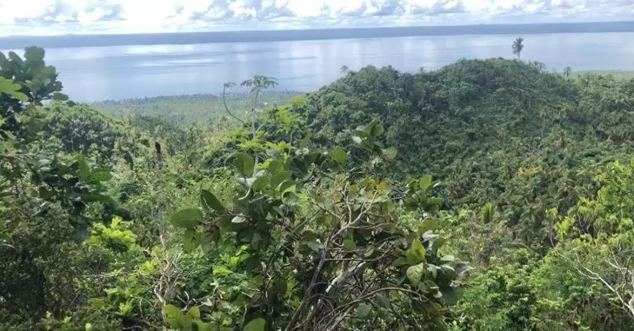 Foto Terreno En Samaná