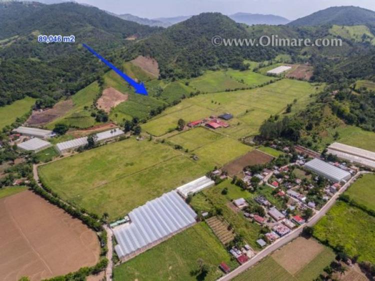 Foto Finca en Venta en San Jose de Ocoa, San Jos de Ocoa, San Jos de Ocoa - U$D 263.000 - FIV4513 - BienesOnLine