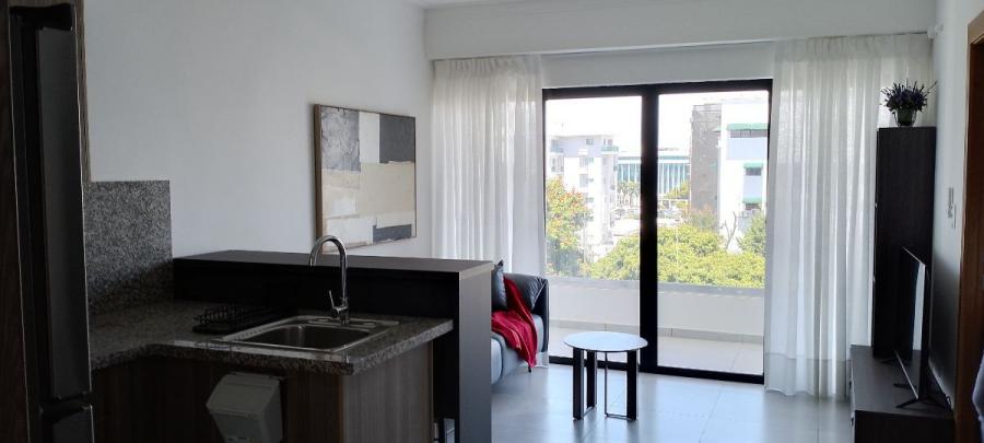 Foto Apartamento en Alquiler en PIANTINI, Piantini, Distrito Nacional - U$D 850 - APA61098 - BienesOnLine