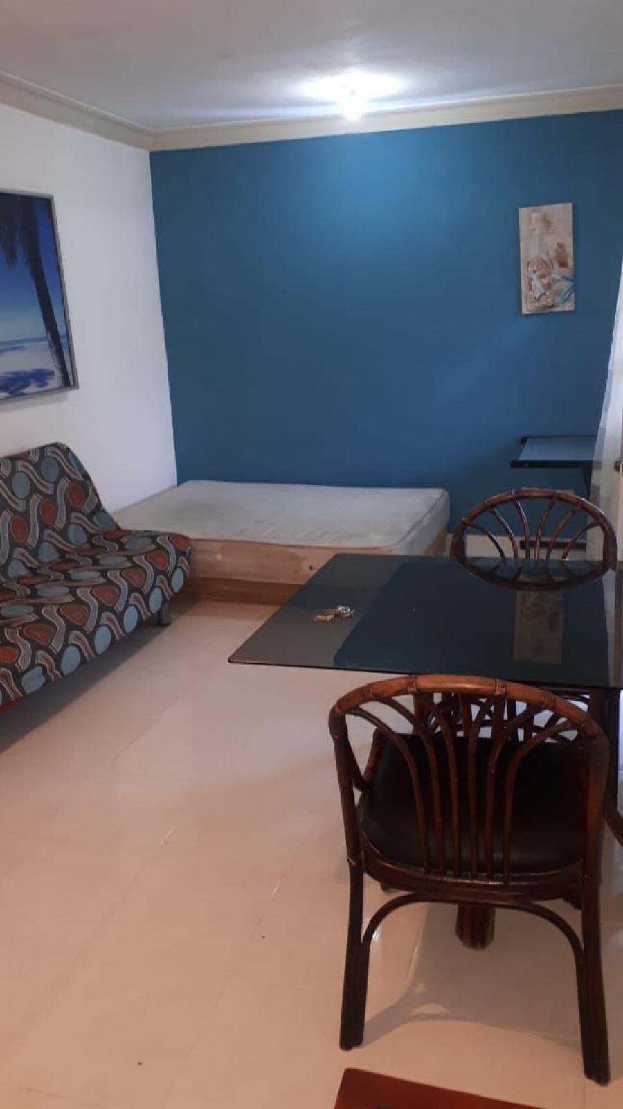 Foto Apartamento en Alquiler en Gascue, Distrito Nacional, Distrito Nacional - $ 20.000 - APA9234 - BienesOnLine