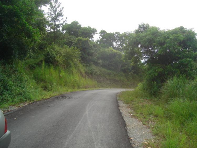 Home in Metric Way