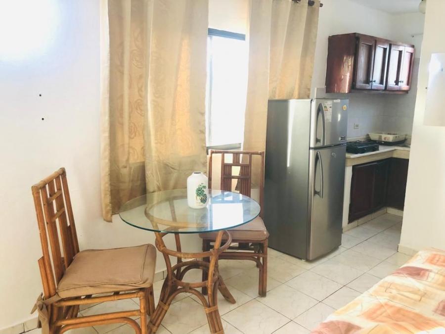 Foto Apartamento en Alquiler en Turstico Vern-Punta Cana, La Altagracia - U$D 250 - APA20037 - BienesOnLine