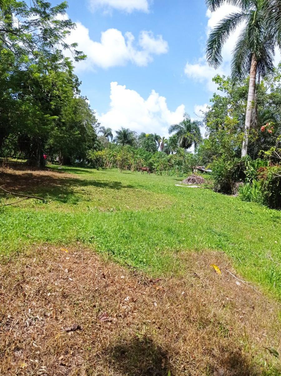 Foto Finca en Venta en Bayaguana, Bayaguana, Monte Plata - U$D 120.000 - FIV24426 - BienesOnLine