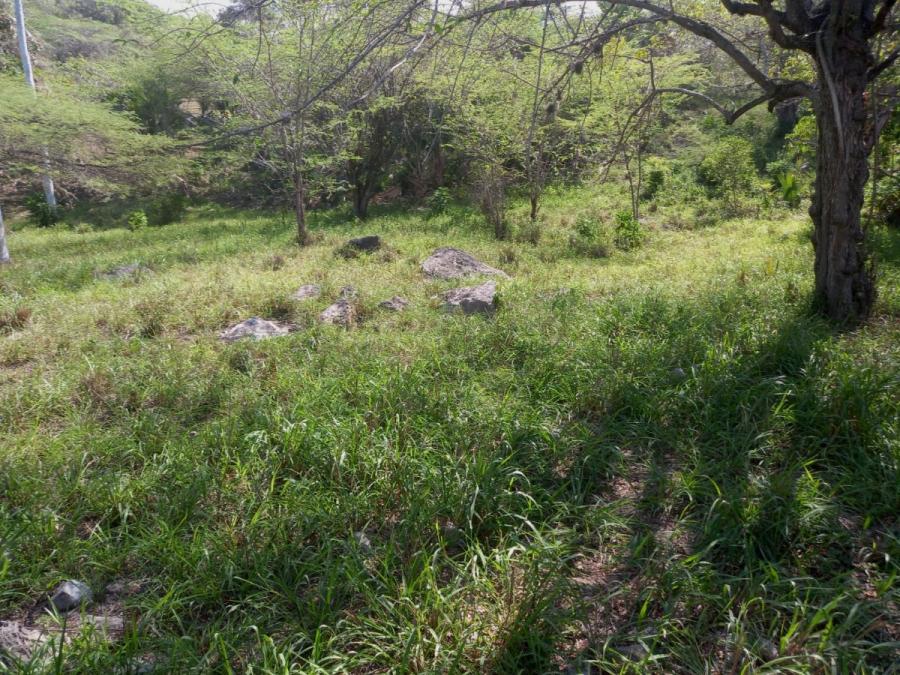 Foto Finca en Venta en Esperanza, Valverde - $ 7.500.000 - FIV17245 - BienesOnLine